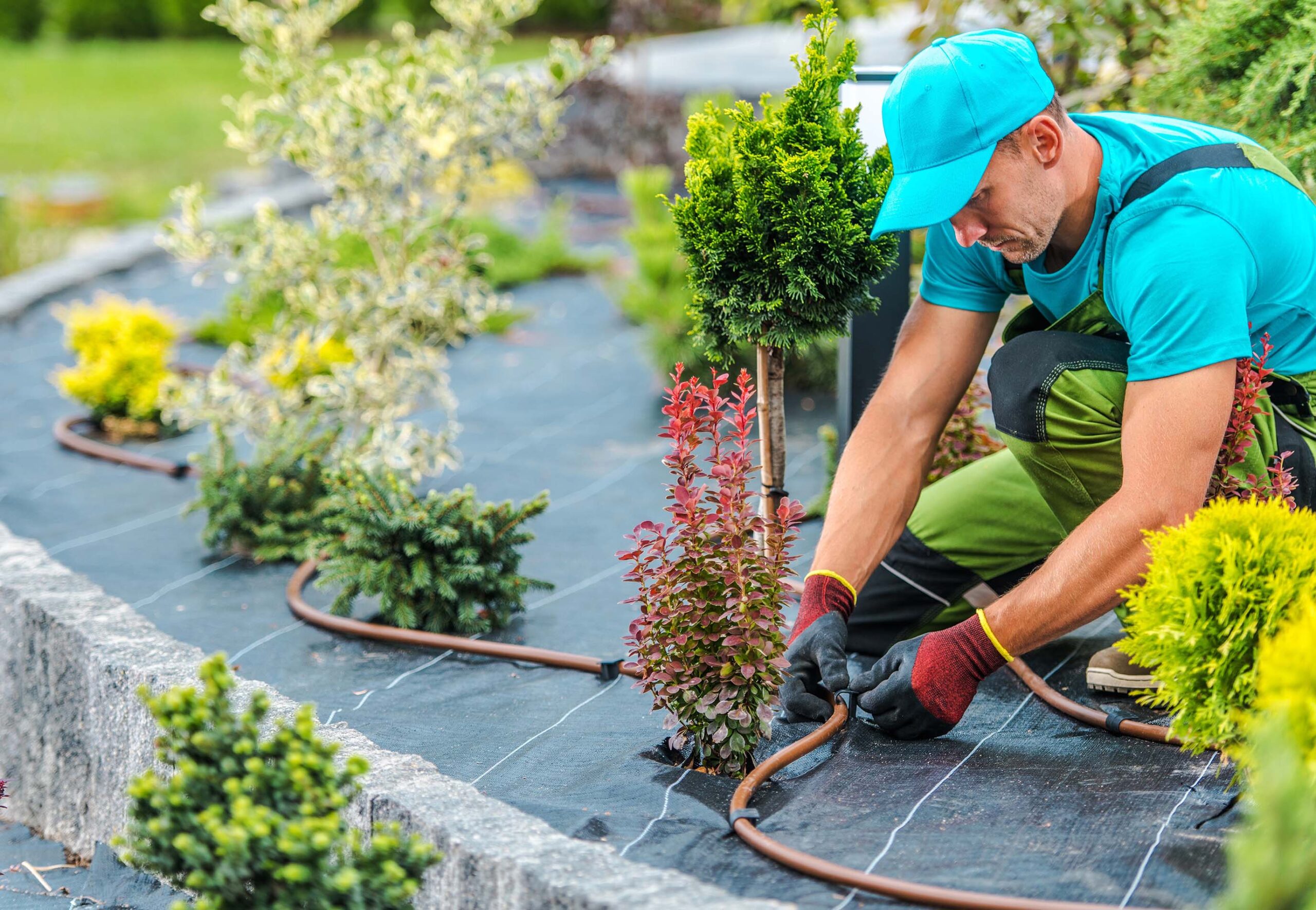 Green Pro Insurance Irrigation Tech Green Pro Insurance Customer Installing Irrigation system